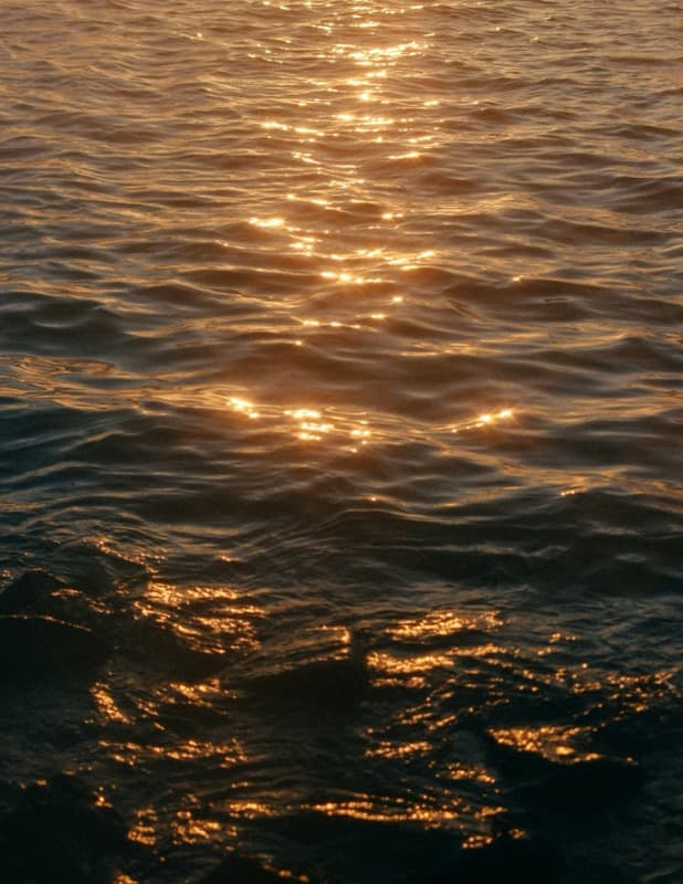 Warm golden-hour light moving across the surface of water