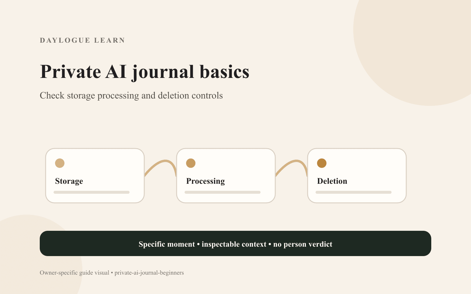 Cream diagram titled Private AI journal for beginners, with connected cards labeled Storage, Processing, and Deletion.